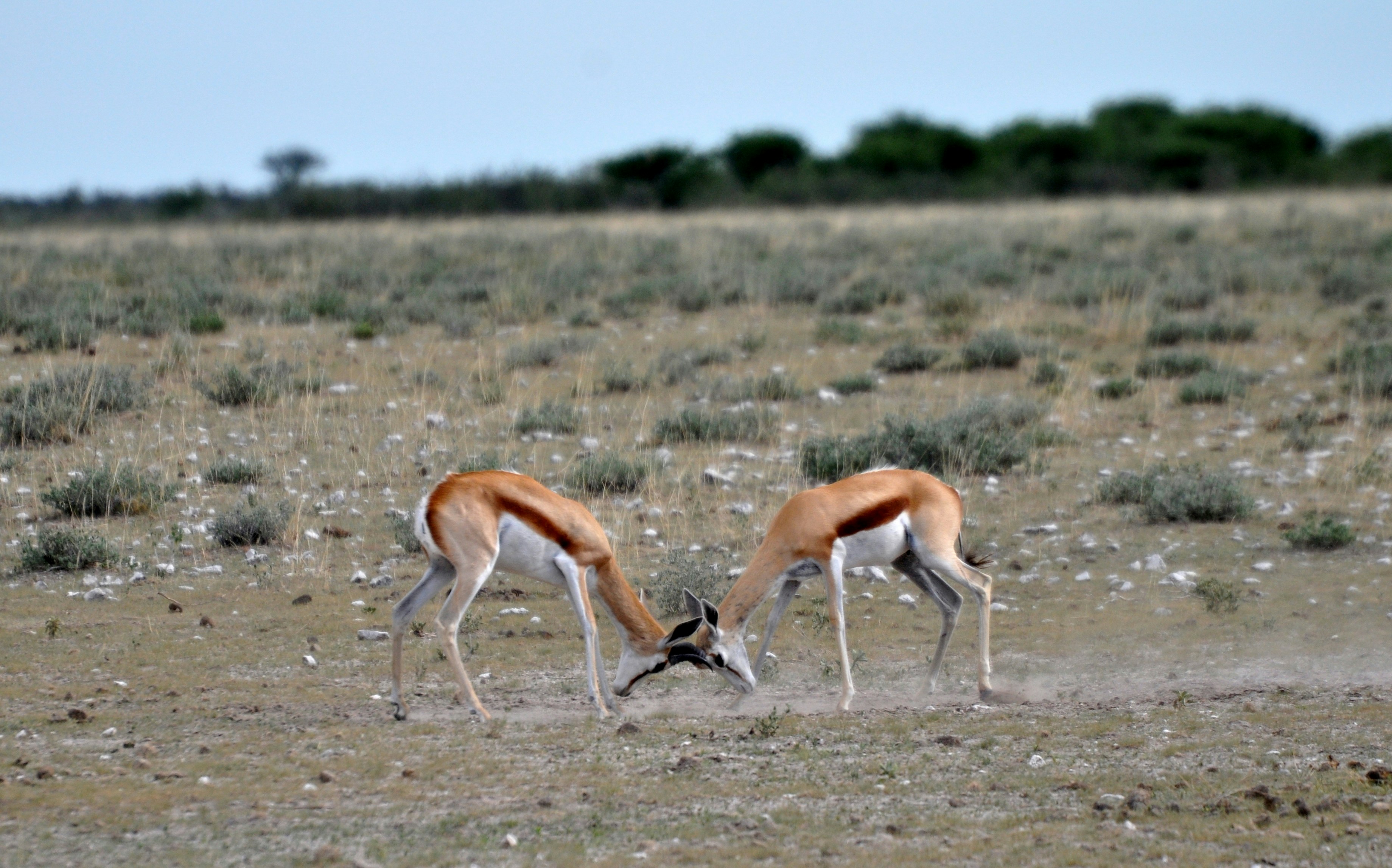 Free Unsplash photo from Clément Yerochewski