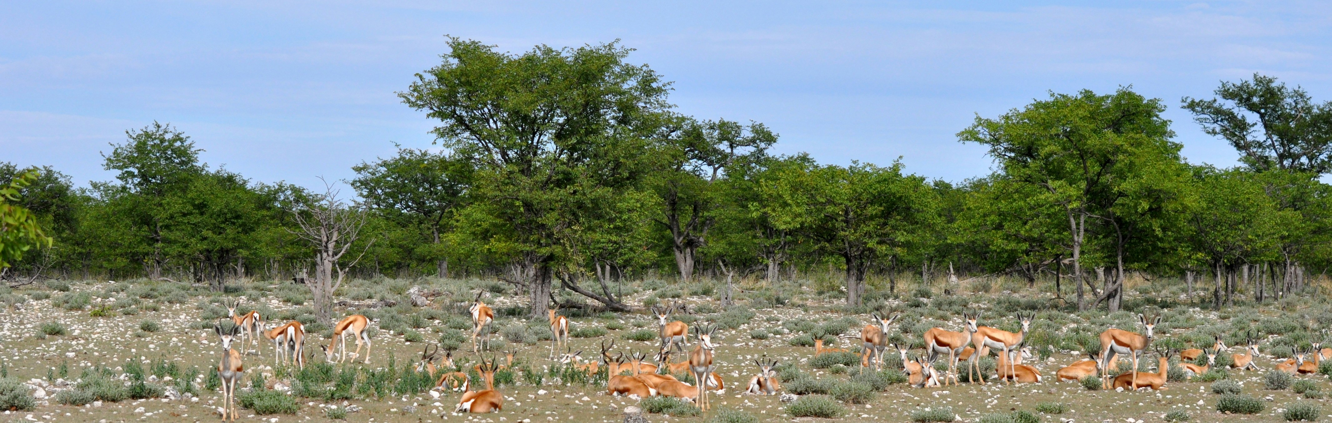 Free Unsplash photo from Clément Yerochewski