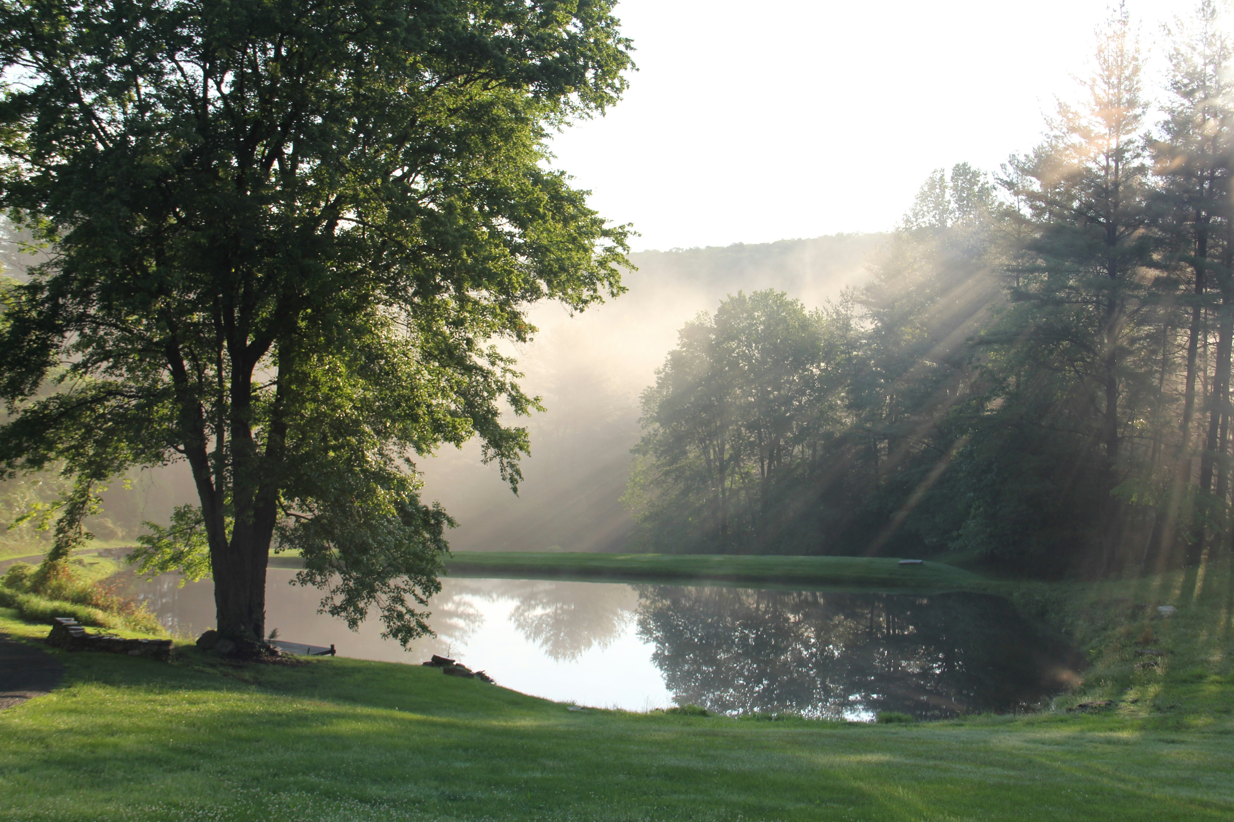 Free Unsplash photo from Jack Sheaffer