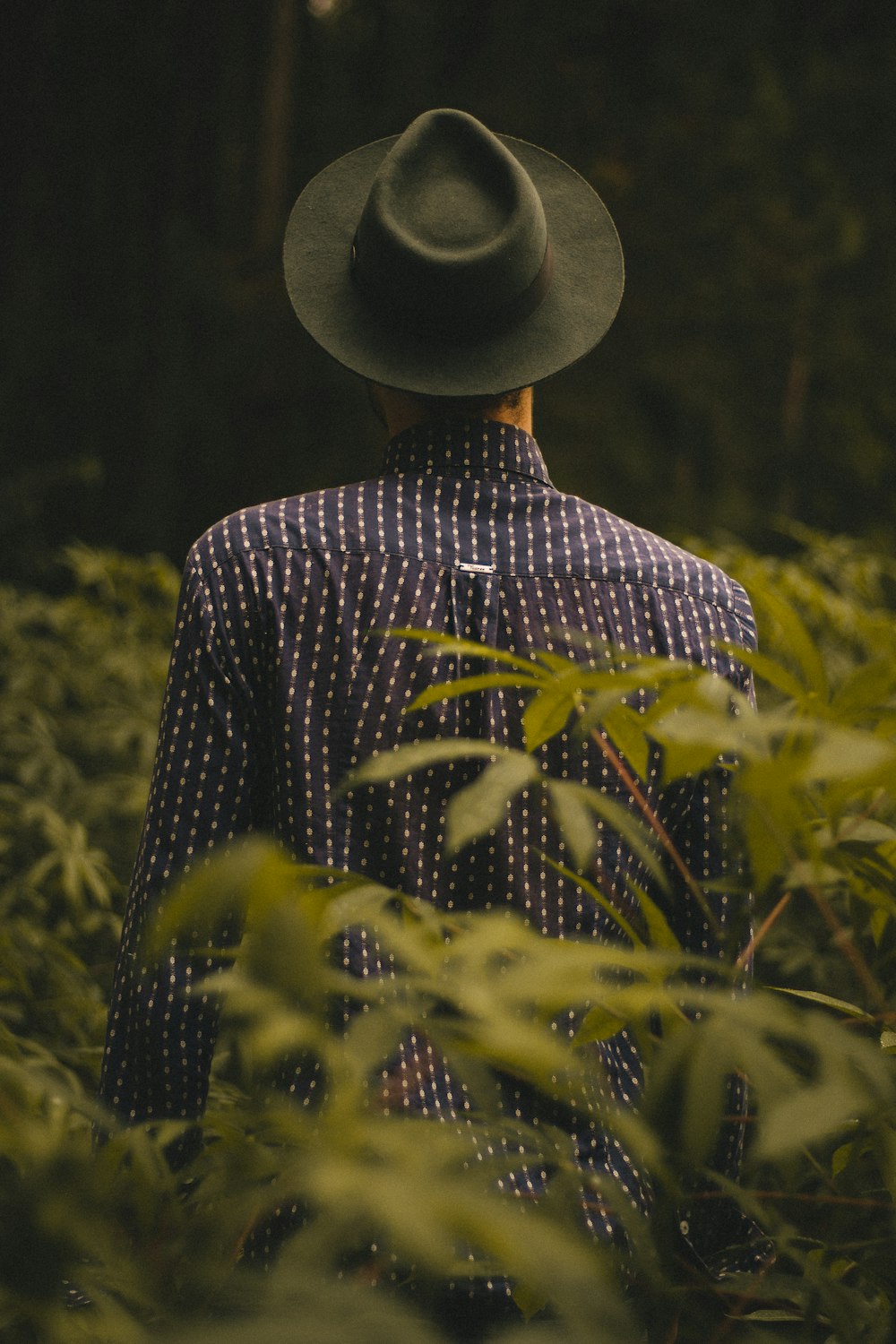 man standing near green leafed plants during daytime