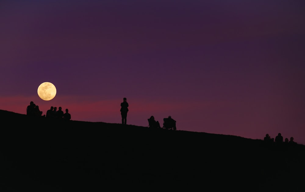 silhouette of group of people under purple night sky