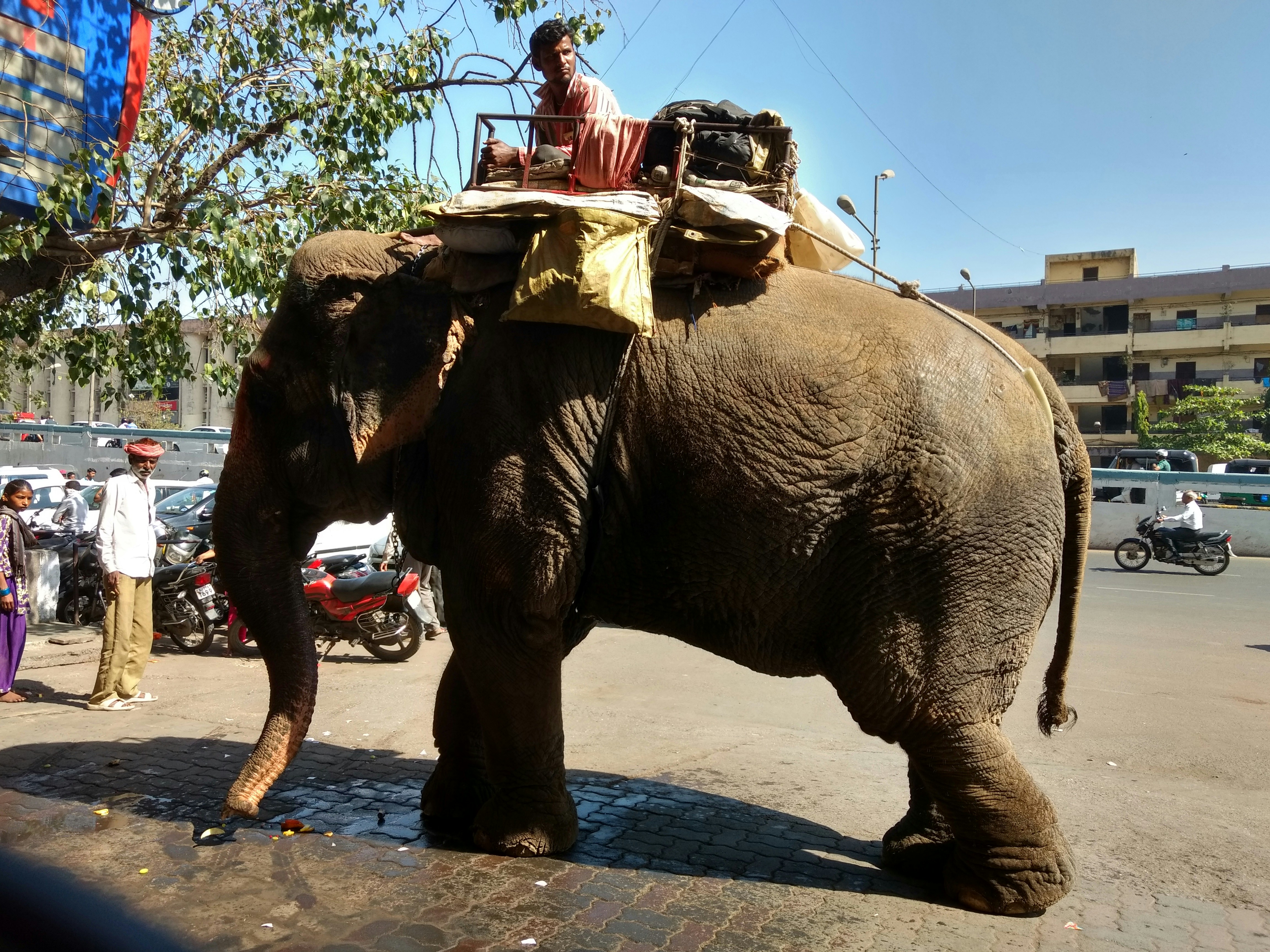 Free Unsplash photo from Rahul Bhoj