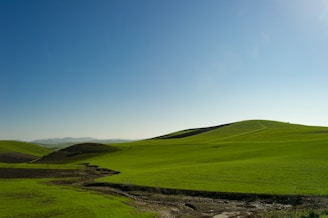 A serene landscape painting with rolling hills and a clear sky.