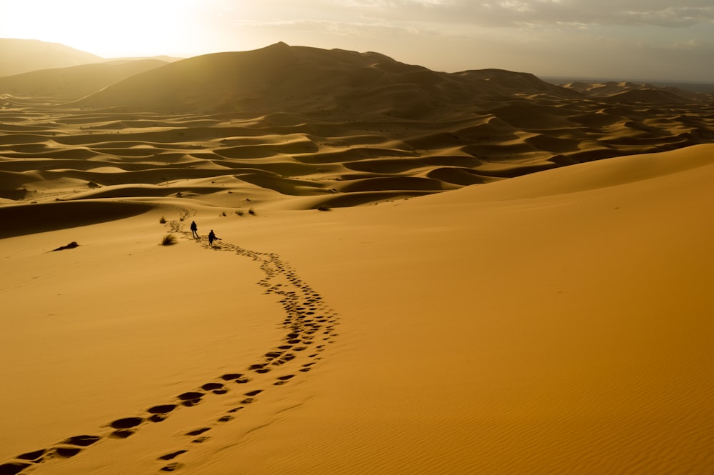 people walking on desert during sunset