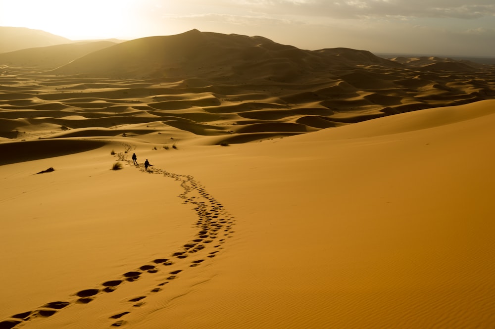 Gente caminando en el desierto durante la puesta del sol