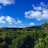 A lush forest landscape spreads across rolling hills under a vibrant blue sky with scattered fluffy white clouds. The dense greenery of the trees suggests a healthy and thriving ecosystem.