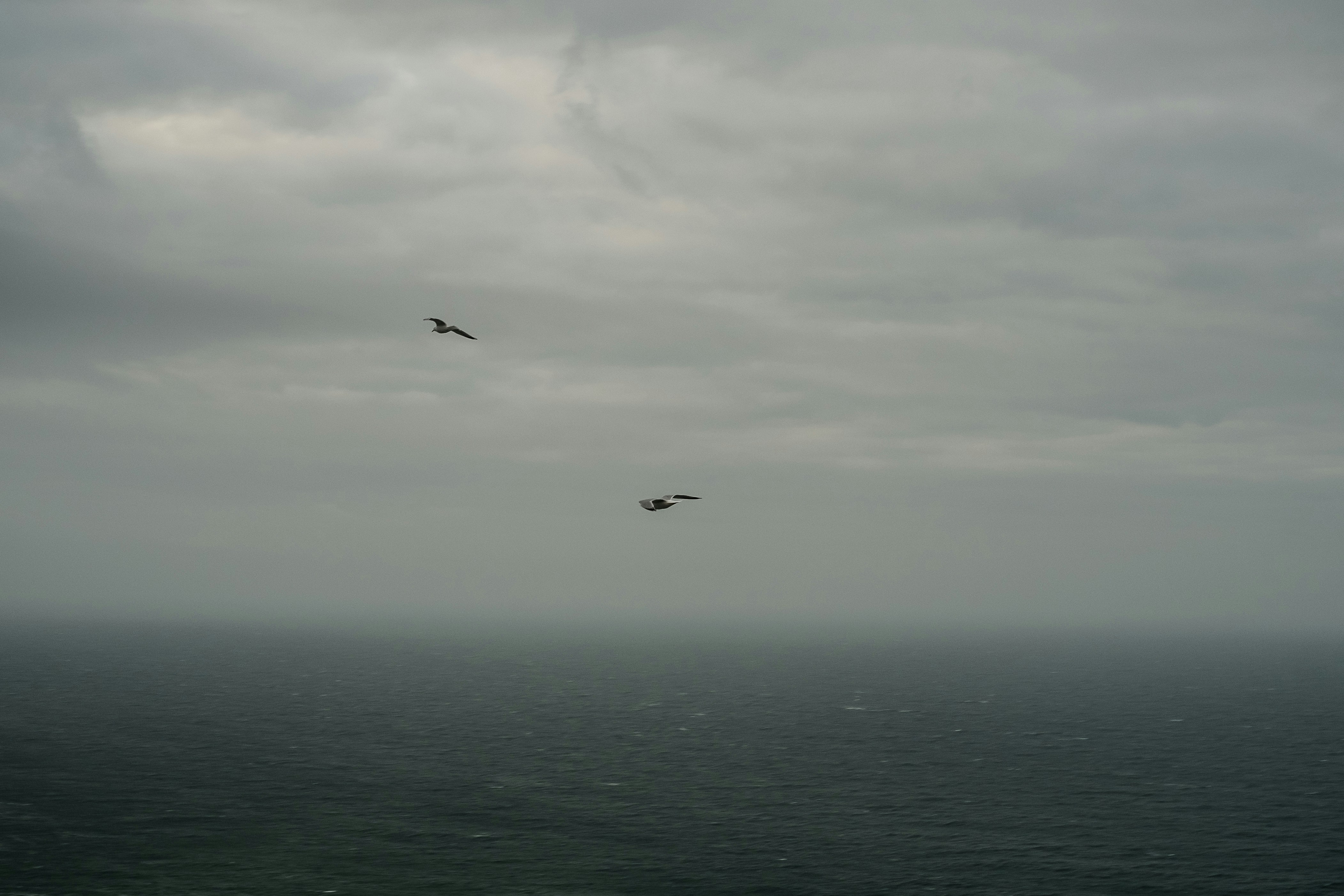 Free Unsplash photo from Sebastian Sammer