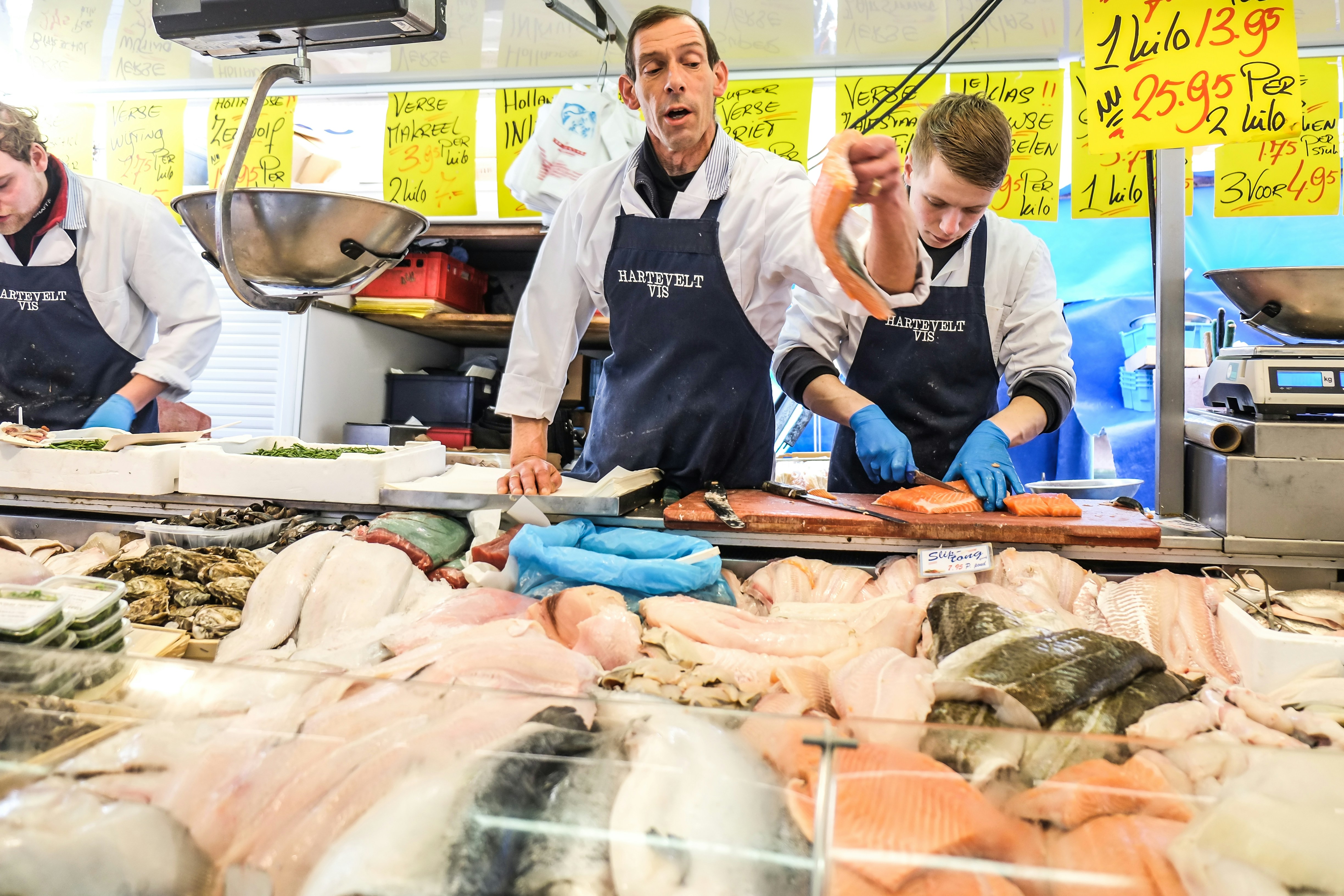 Free Unsplash photo from Sebastian Sammer