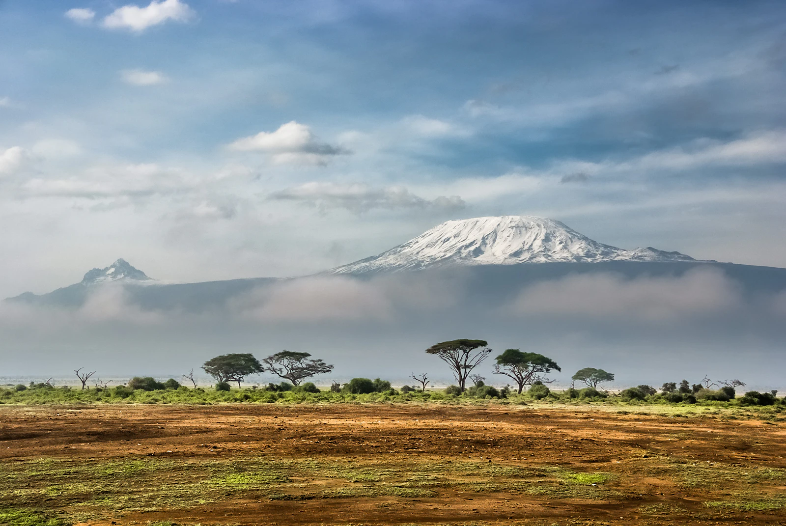 Travel vaccinations for Africa & Safari (East & Southern Africa)