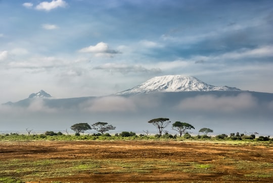 green leaf tree near mountain covered by snow at daytime in Amboseli National Park Kenya
