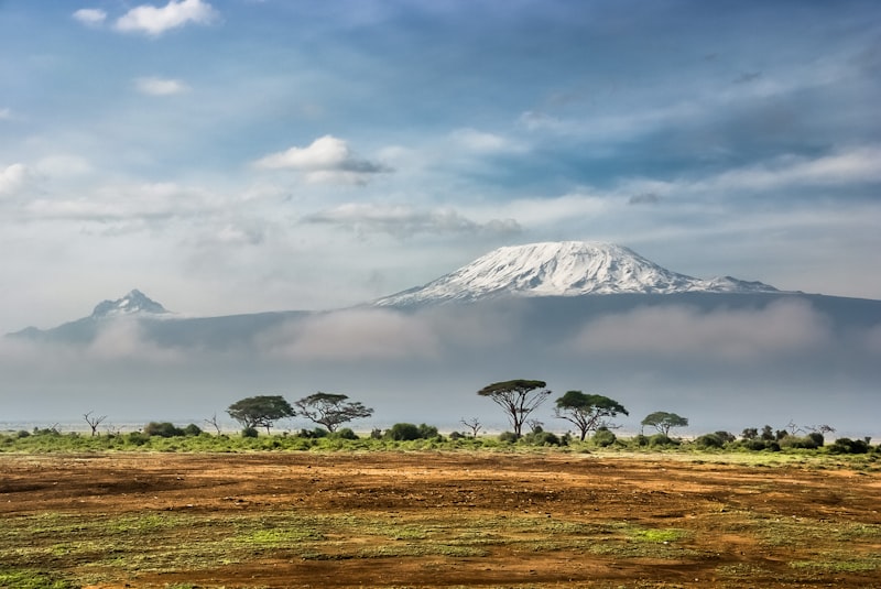 Africa trade and business