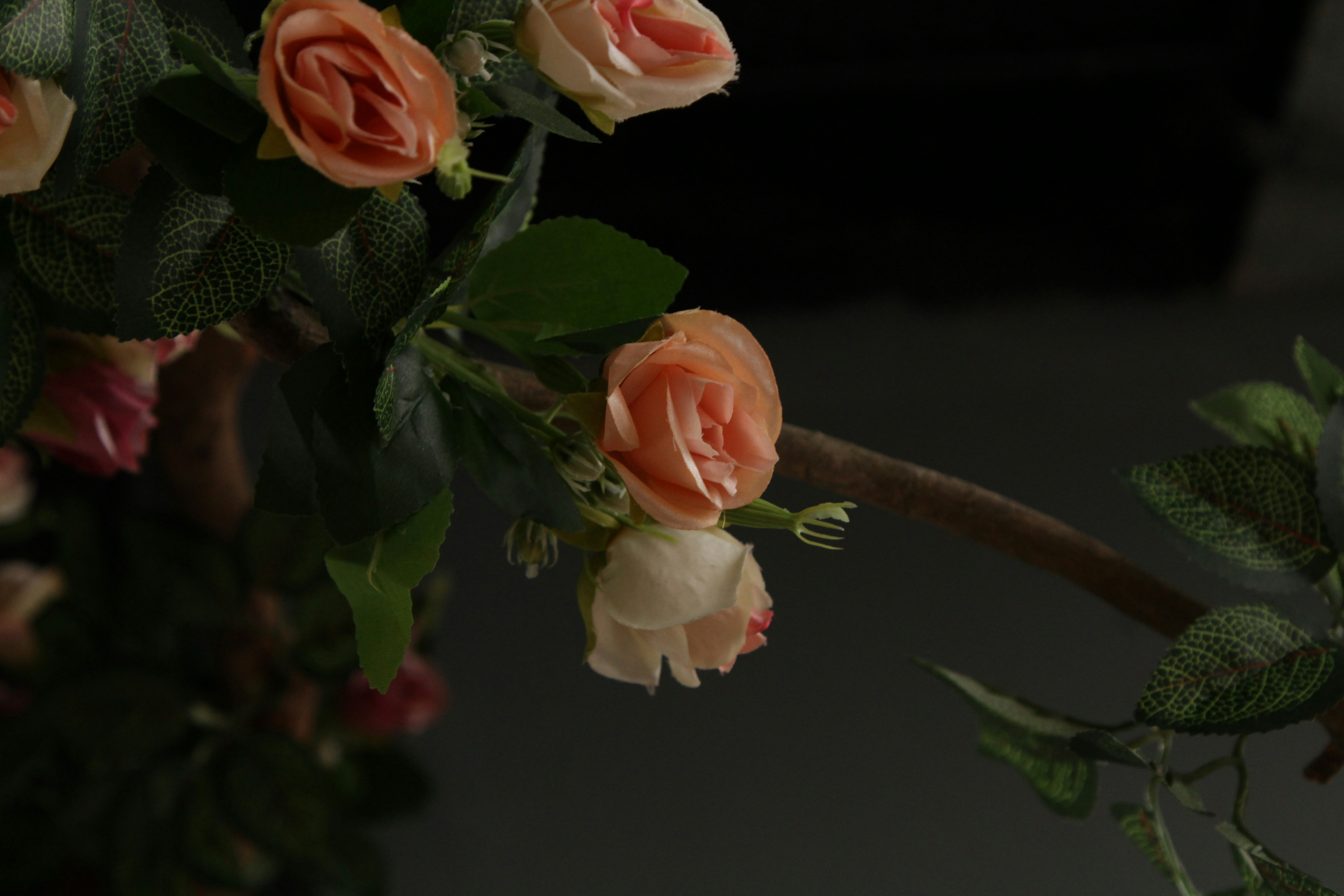 Free Unsplash photo from Kiên Lại Ngọc