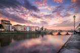 A scenic street in Florence showcasing harmonious architecture and vibrant colors.