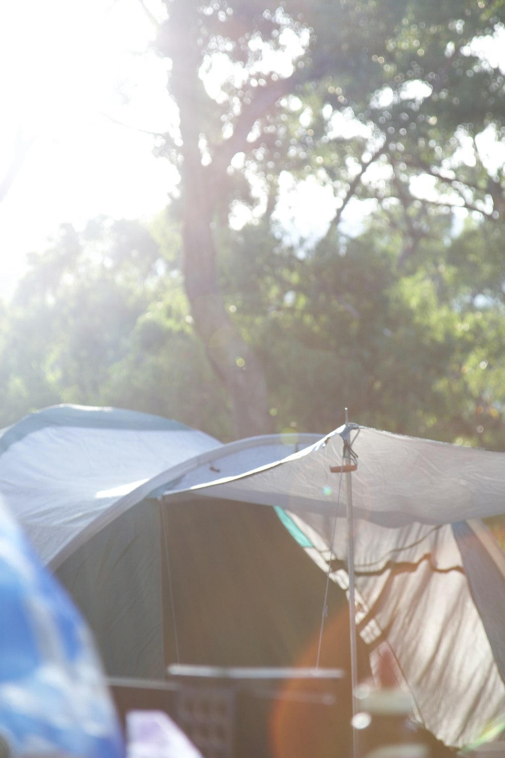 shallow focus photography of white and gray tent