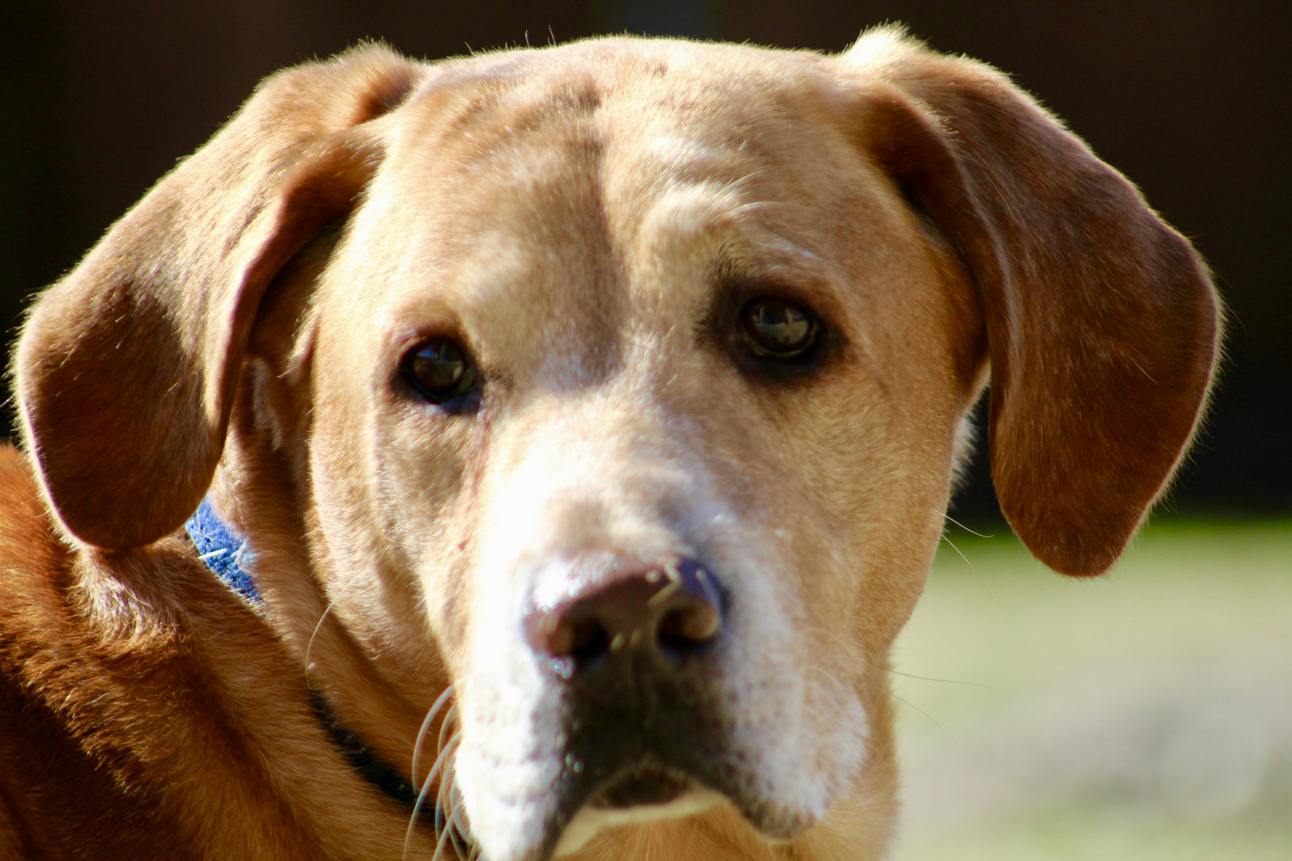 Free Unsplash photo from Rebekah Howell