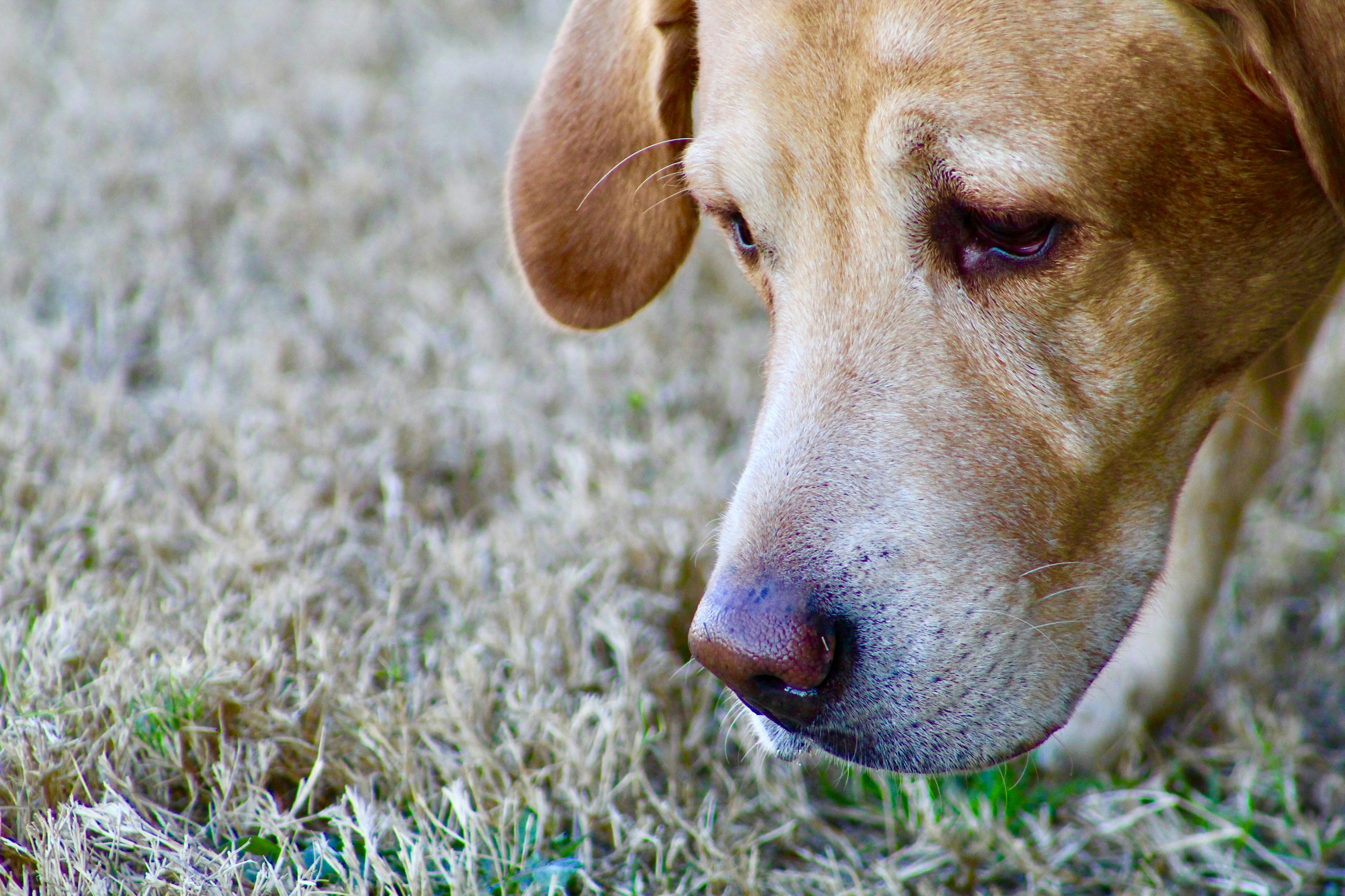 Free Unsplash photo from Rebekah Howell