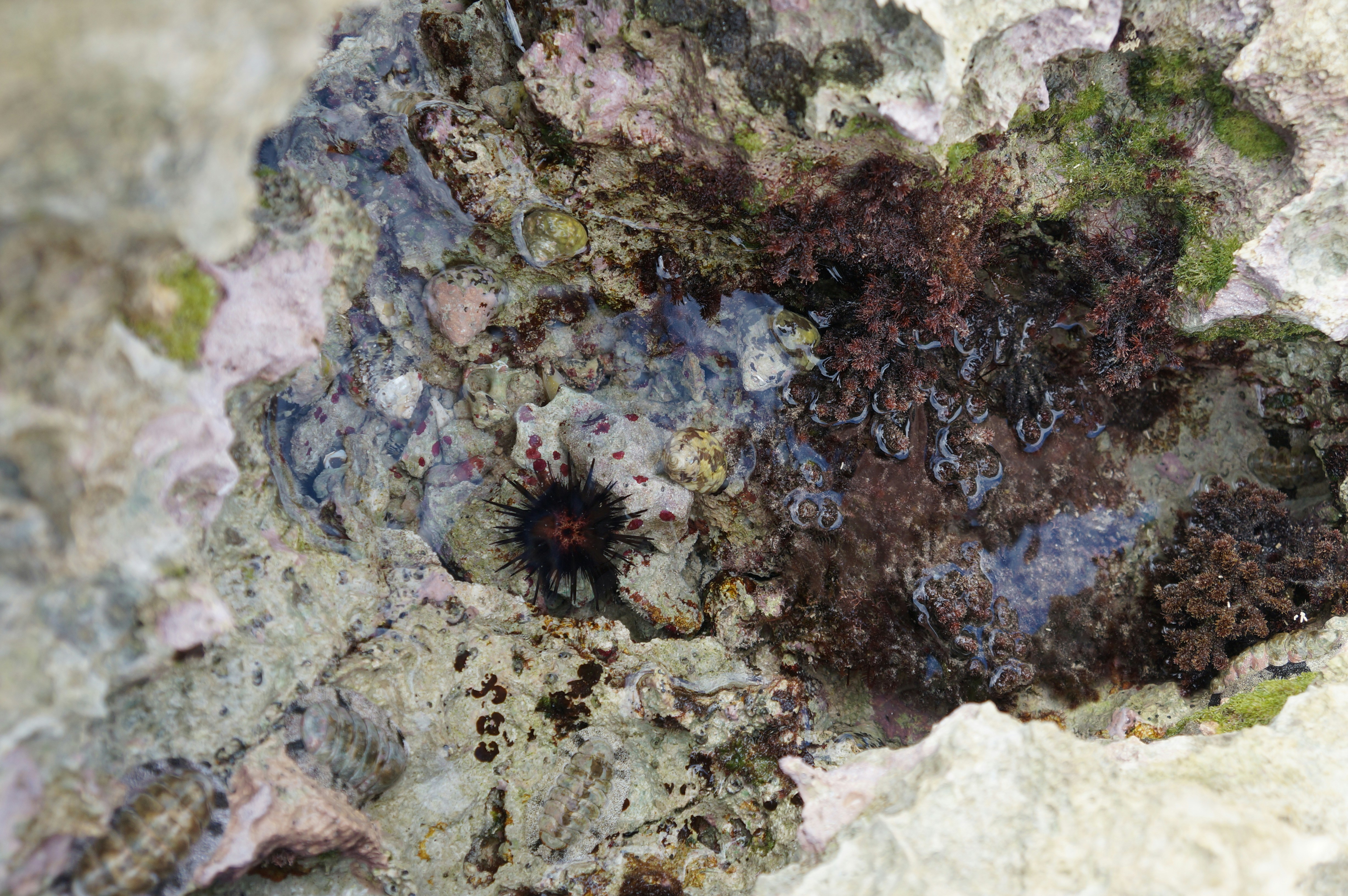 Free Unsplash photo from Melanie Huber