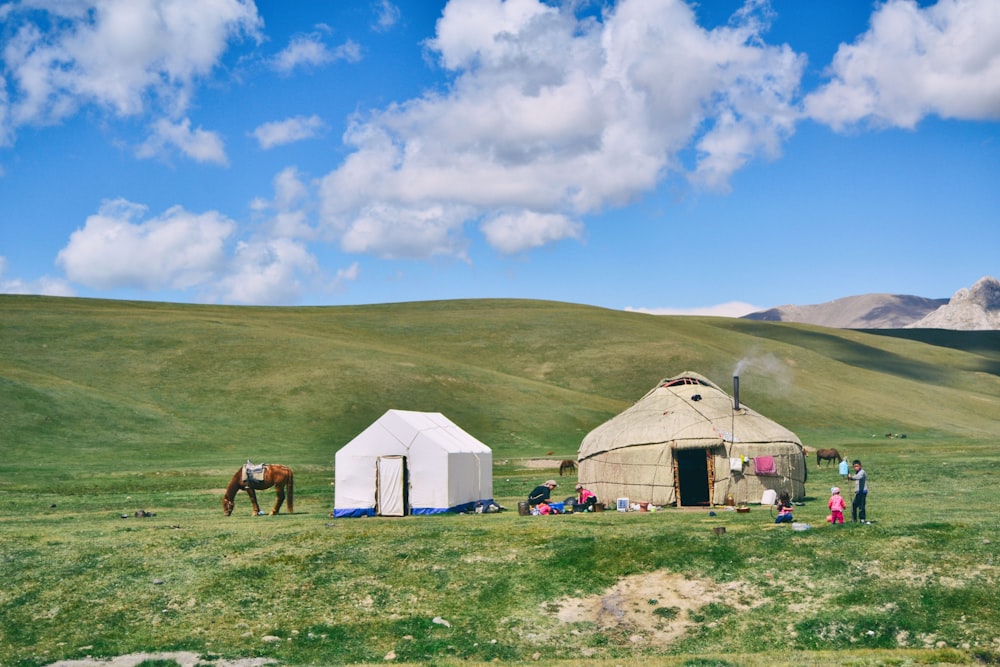 낮에는 푸른 잔디밭에 베이지색 돔 오두막 옆에 흰색 캐노피 텐트가 있습니다