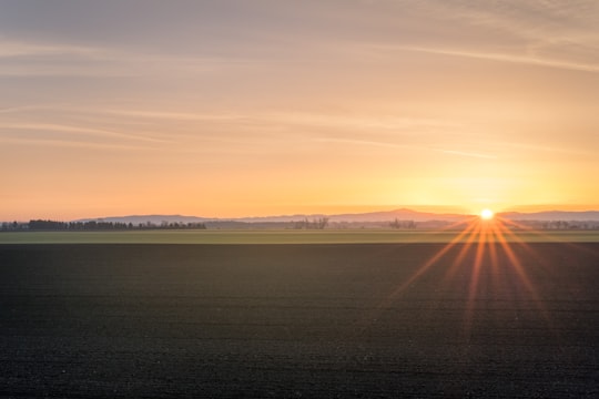 brown soil field across mountain under orange sunset sky in Mettenheim Germany