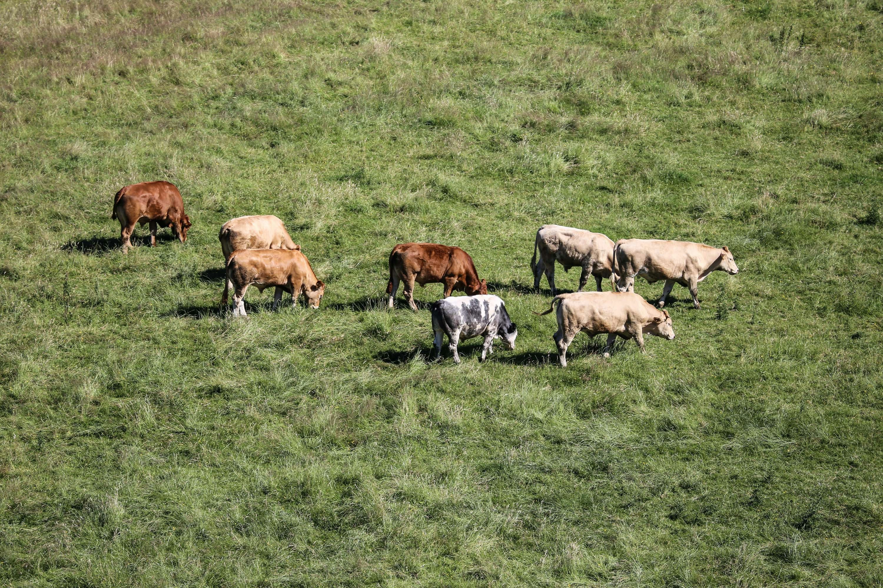 Free Unsplash photo from James Padolsey