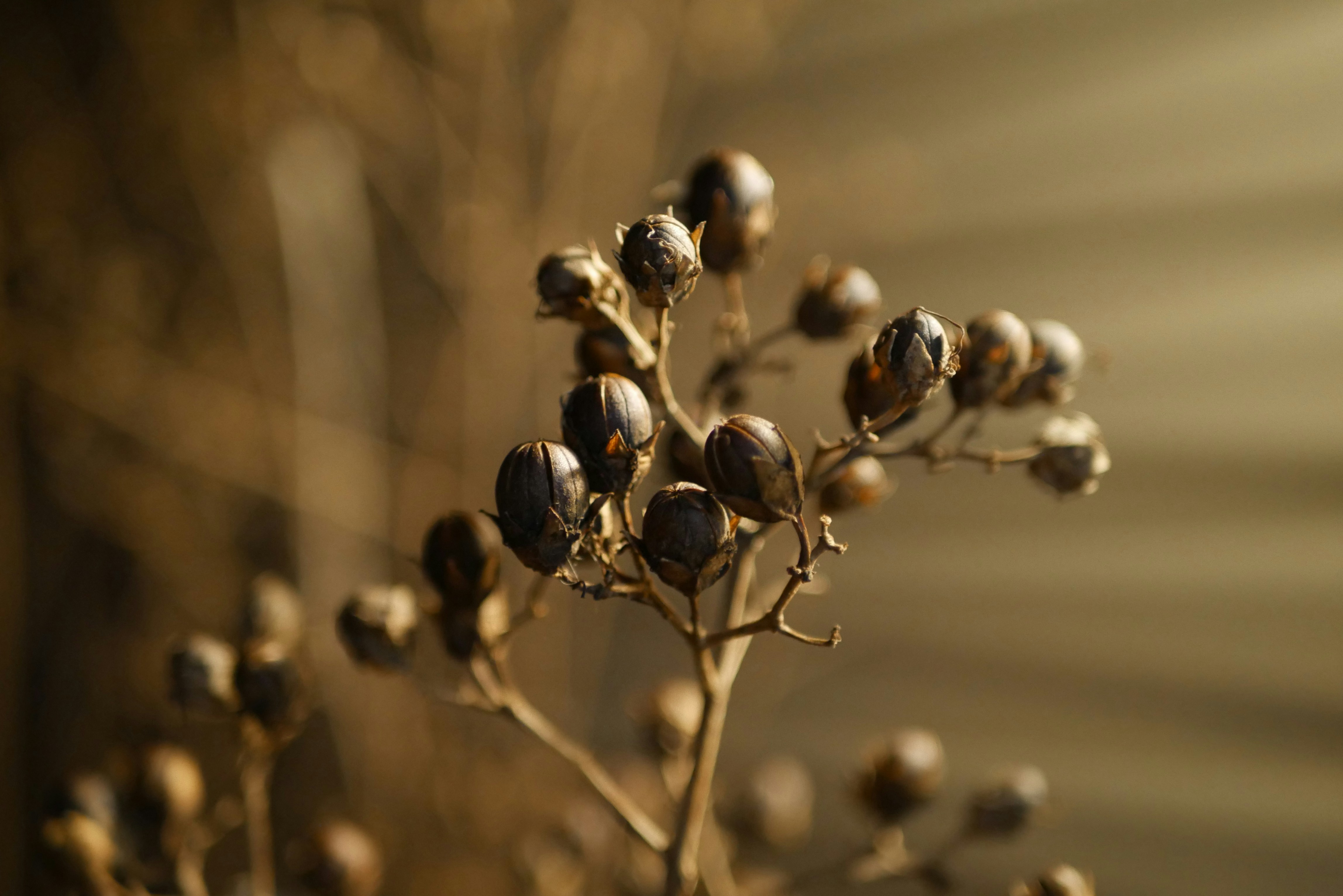 Free Unsplash photo from Cody Lane