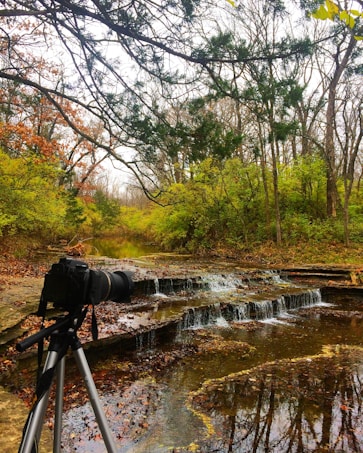A small waterfall cascades over rocky ledges in a serene forested area. The surrounding foliage is a mix of autumn colors, with leaves in shades of green, orange, and brown. A camera on a tripod is positioned in the foreground, facing the waterfall, indicating a focus on nature photography. The branches of trees frame the top of the scene, and a calm stream reflects the natural beauty above.