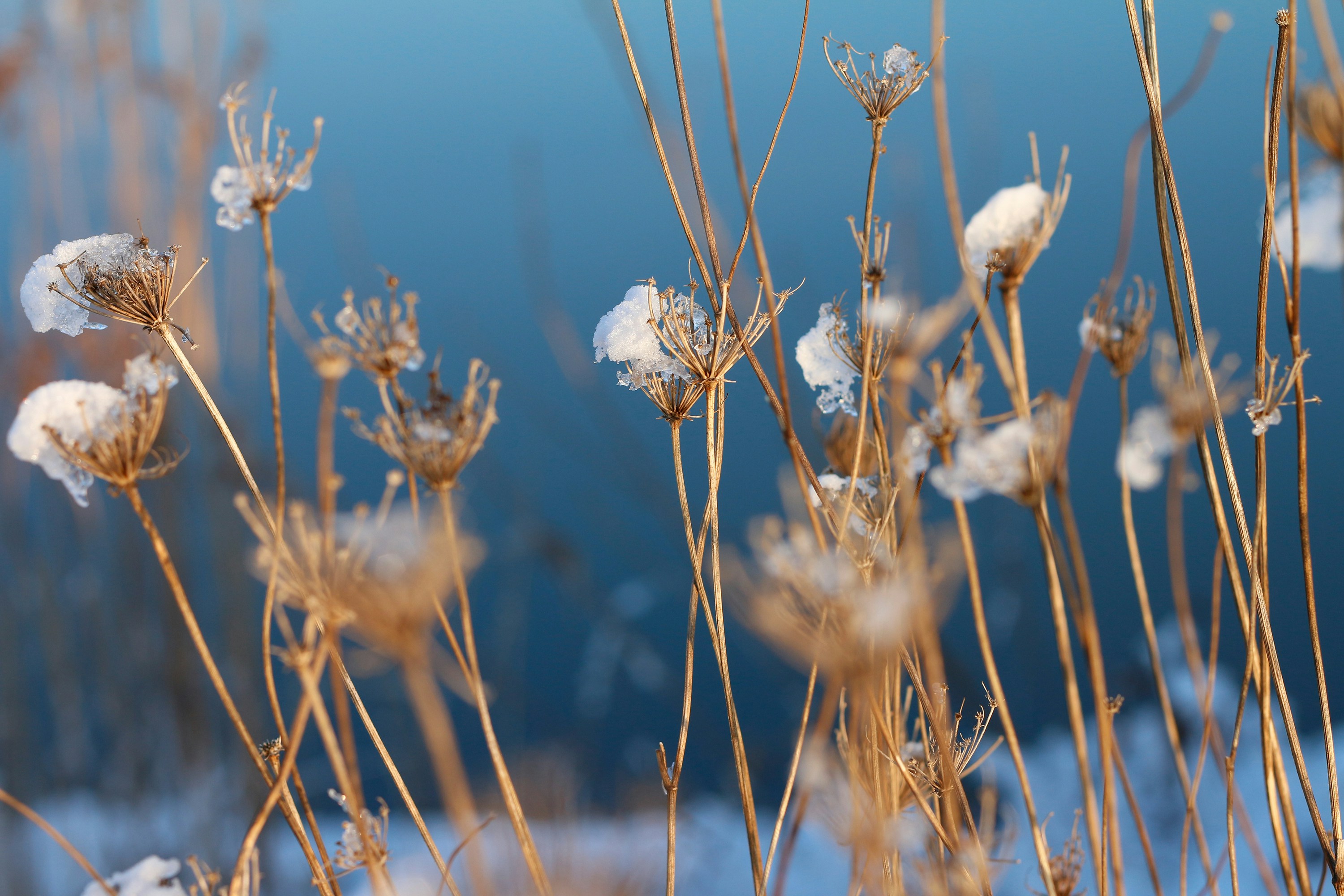 Free Unsplash photo from Dominik Zumtobel