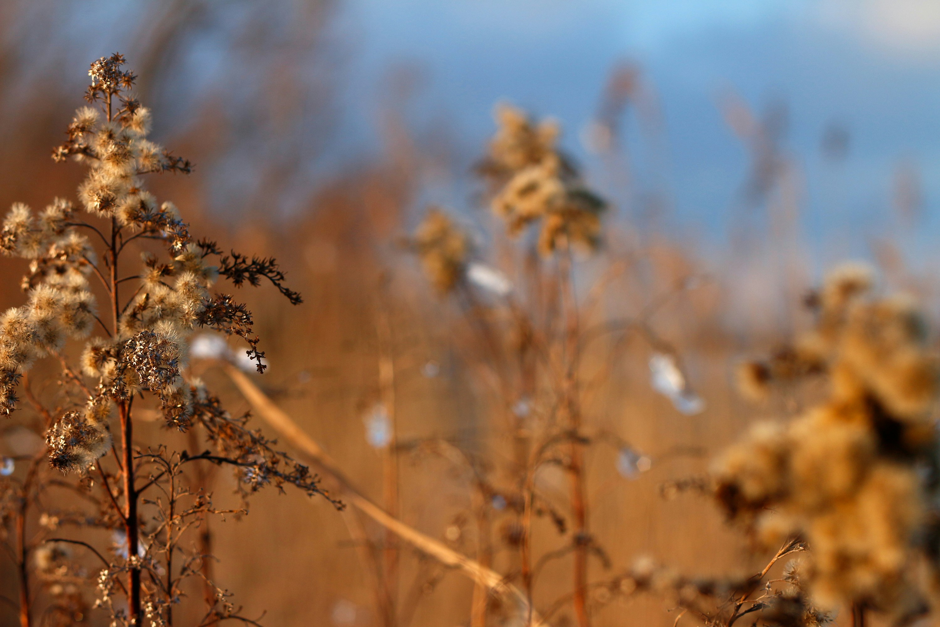 Free Unsplash photo from Dominik Zumtobel