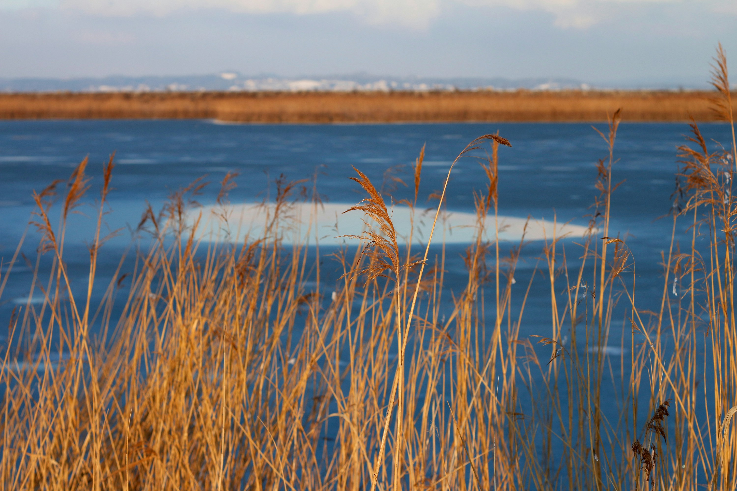 Free Unsplash photo from Dominik Zumtobel