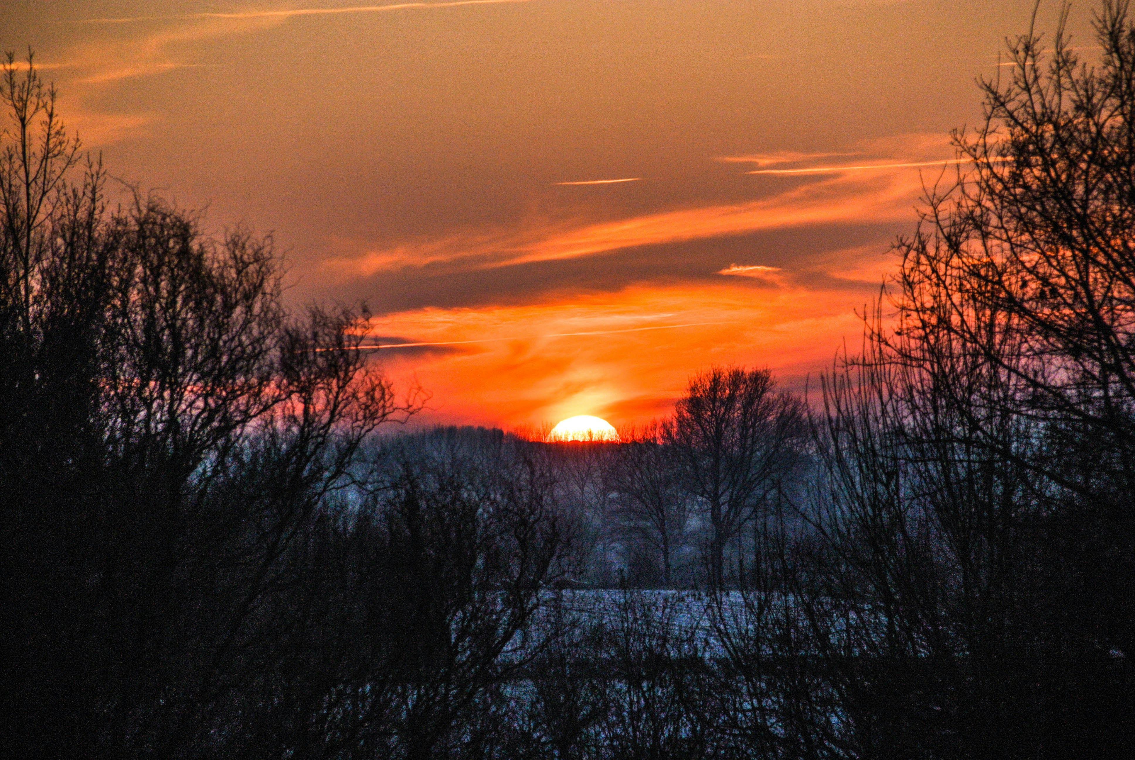 Free Unsplash photo from Wout Vanacker