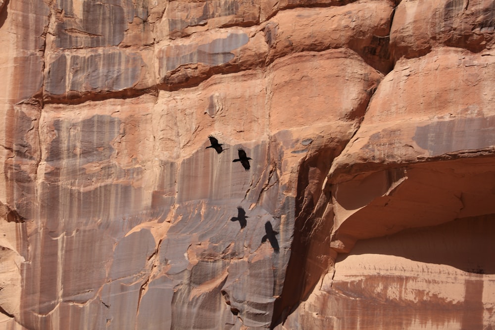 person in black jacket climbing brown rock formation during daytime