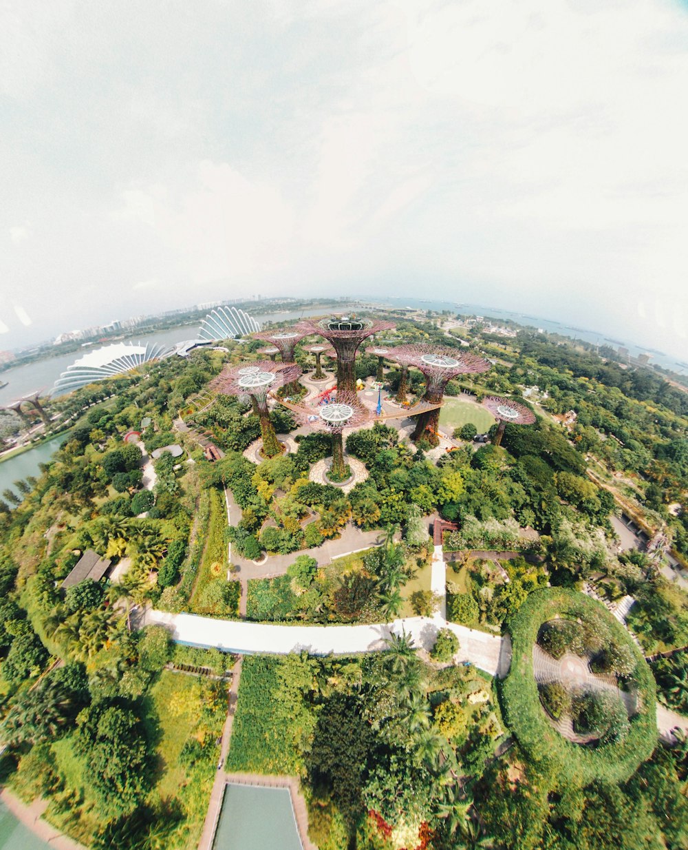 fotografía de vista aérea de Gardens by the Bay, Singapur