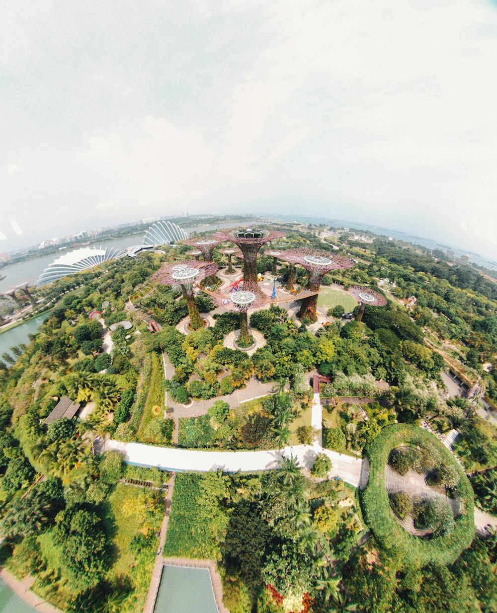 photographie de vue aérienne de Gardens by the Bay, Singapour