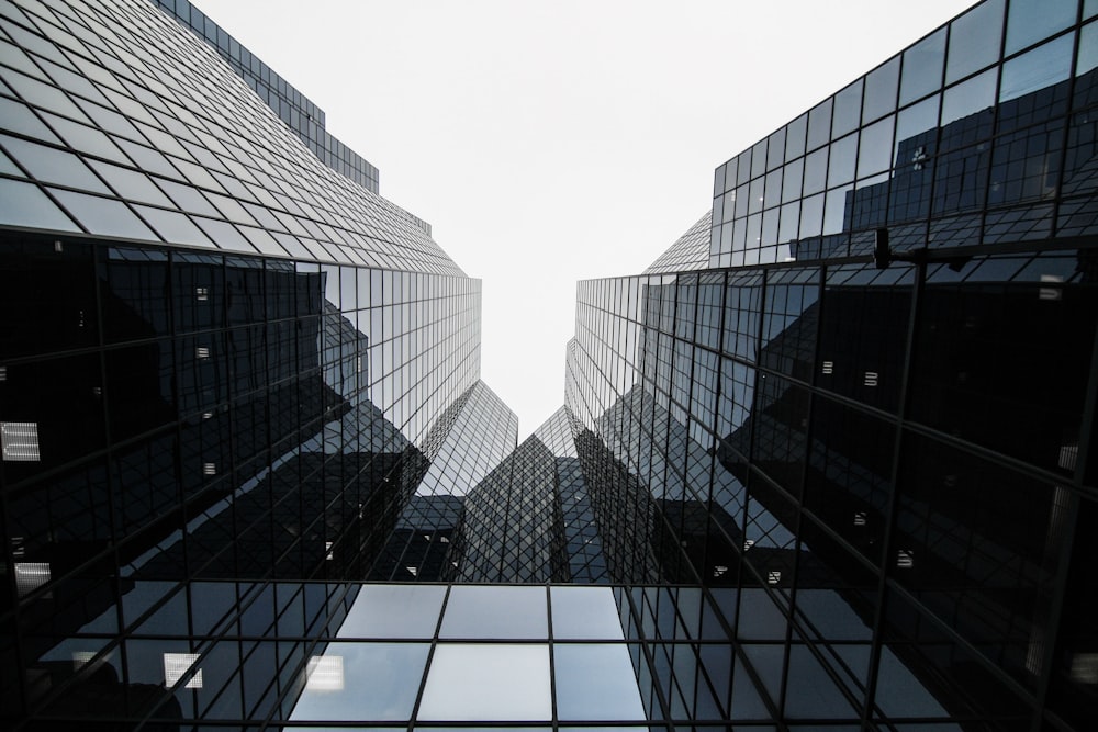 worm's-eye view of glass building