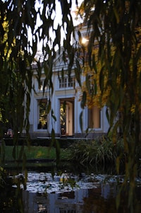 A classical white building with large windows sits in a serene, leafy environment. Weeping willow branches frame the view, and sunlight filters through, casting a warm glow. A reflective pond with lily pads is in the foreground, adding to the tranquil atmosphere. Inside the building, there are people visible, possibly engaged in conversation or activities.
