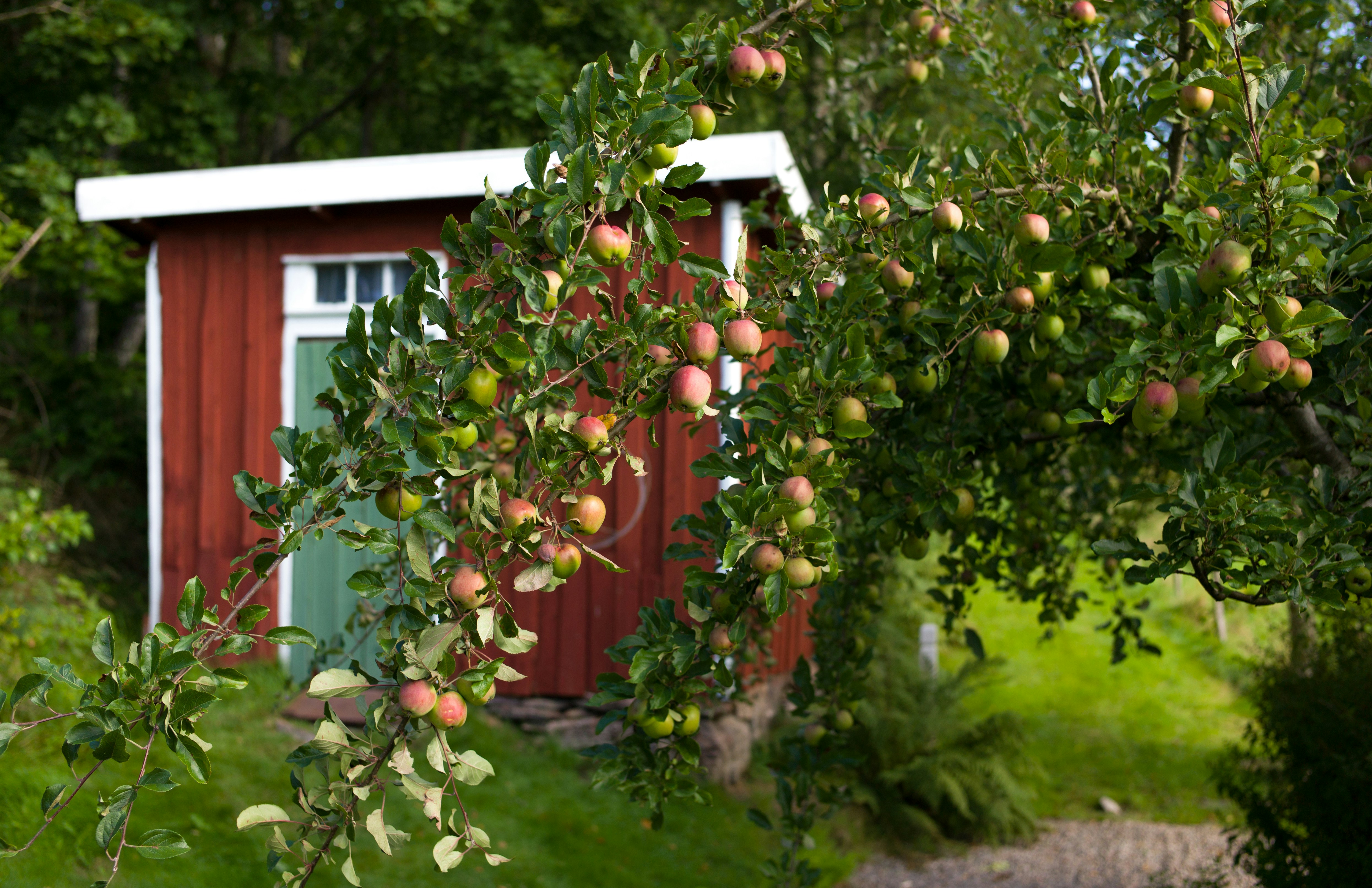 Free Unsplash photo from Anders Wideskott