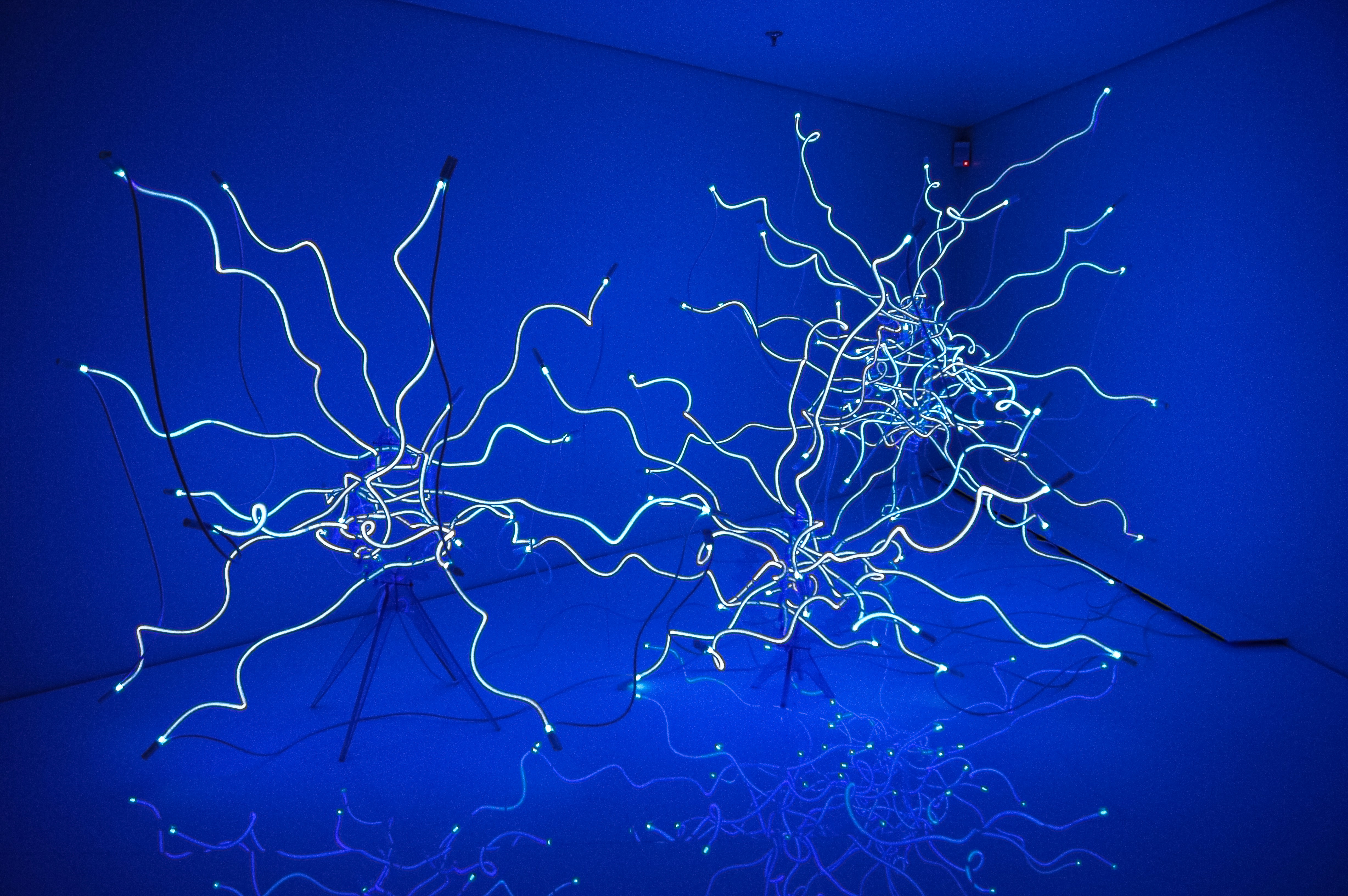 Free Unsplash photo from Daniel Haider