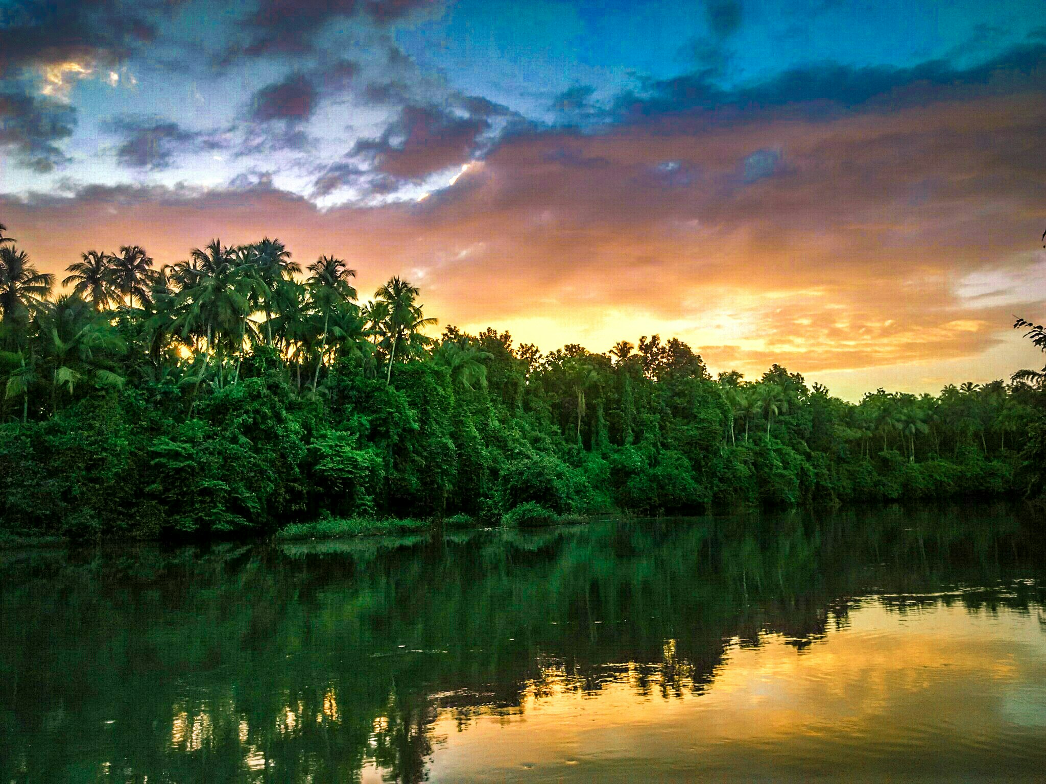 Free Unsplash photo from Kamal Arshad