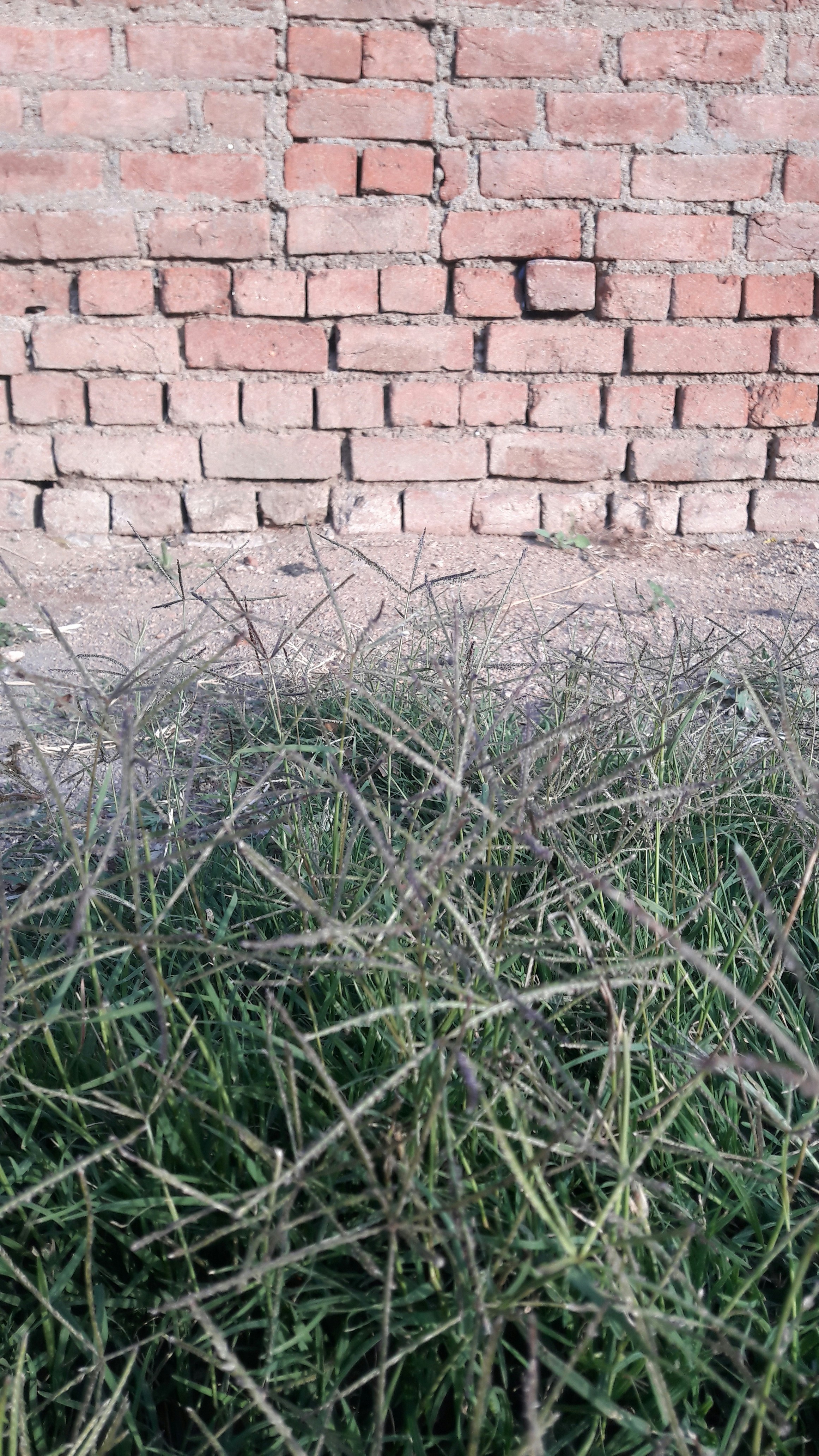 Free Unsplash photo from Äkay Sandhu