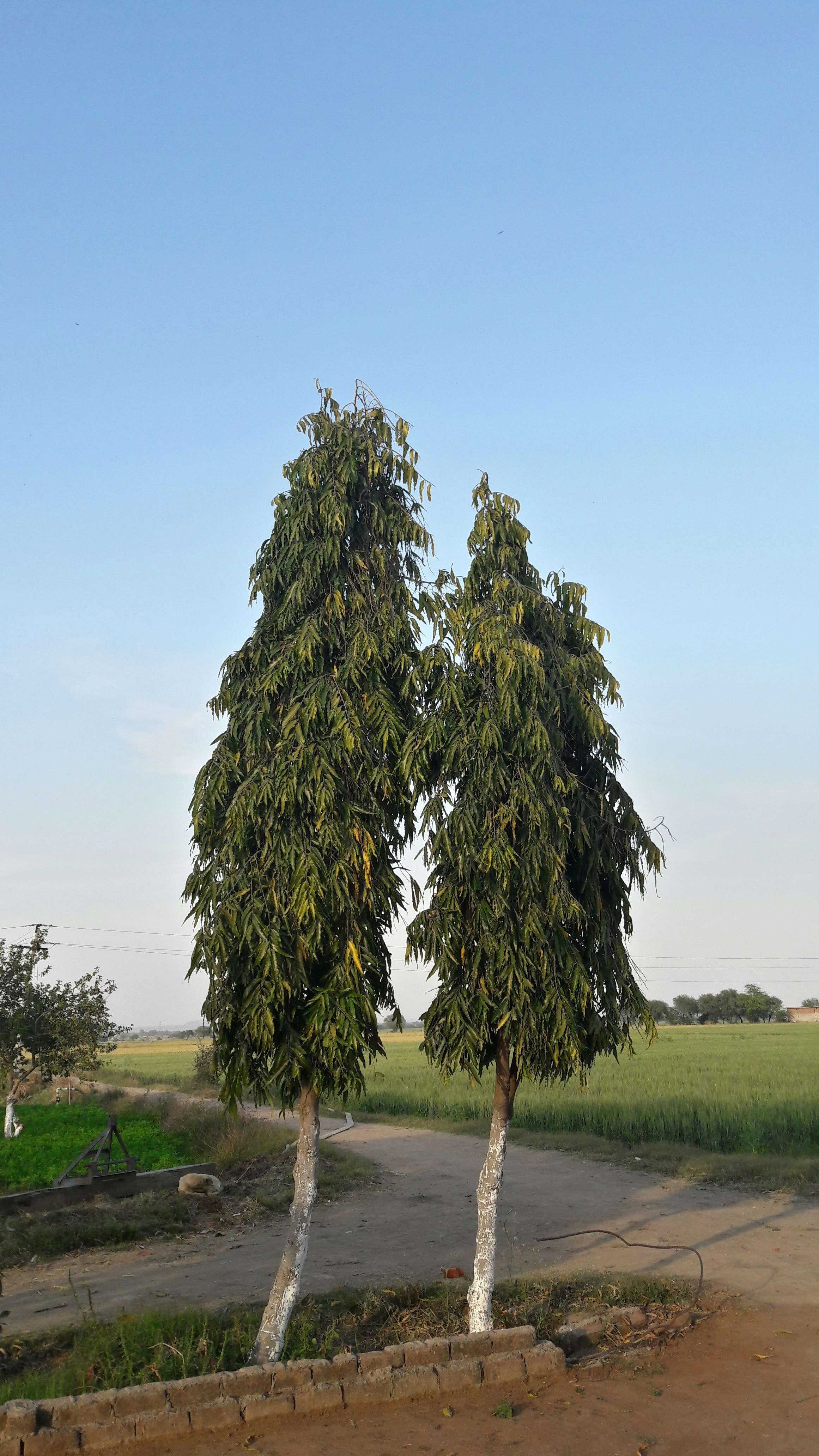 Free Unsplash photo from Äkay Sandhu