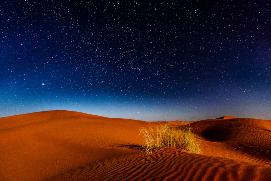 Stargazing in the desert