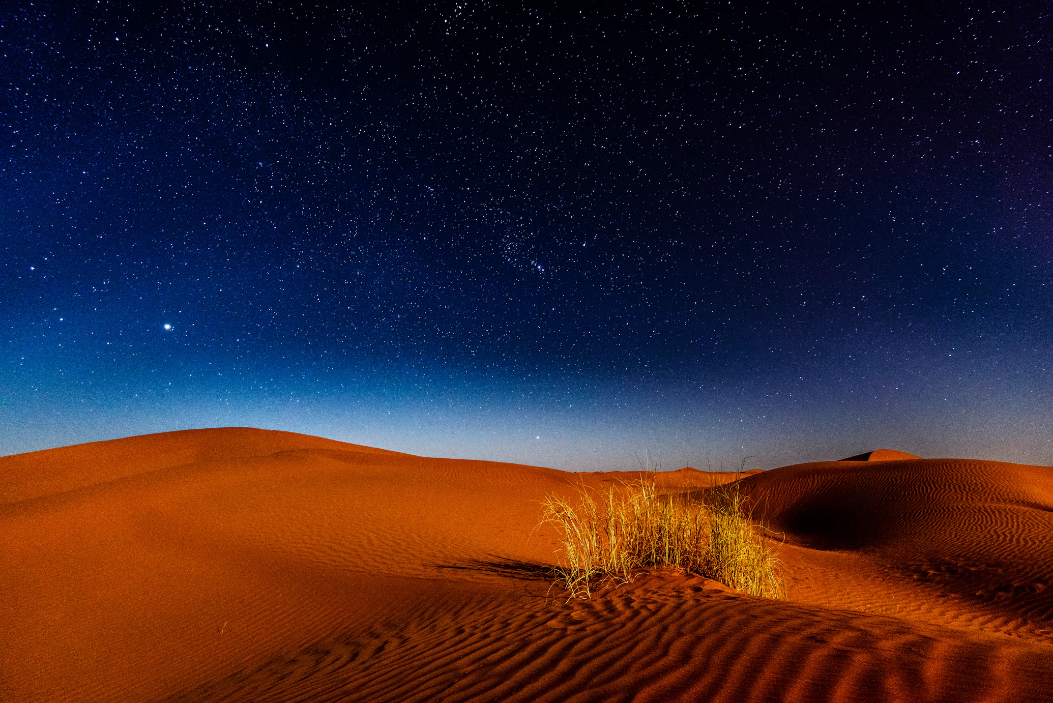 Desert Oasis