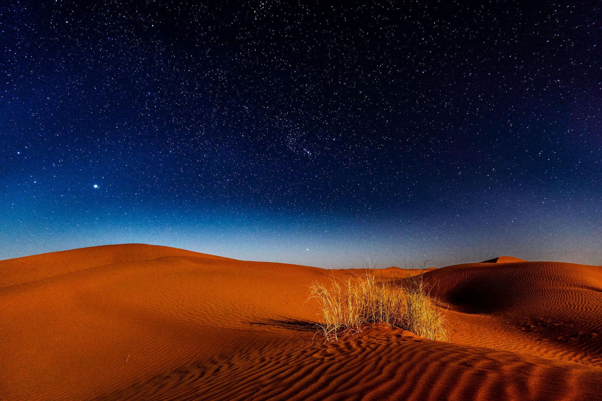 desert during nighttime