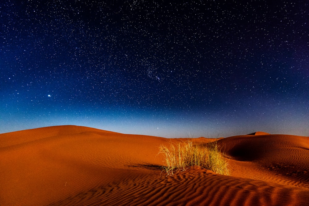 야간의 사막
