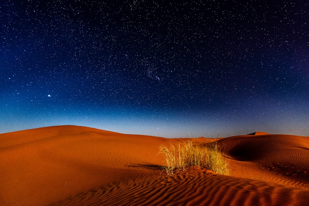 deserto durante a noite