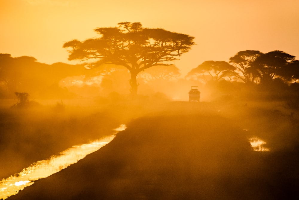 A vehicle driving down a lane and kicking up dust in Kajiado, with silhouetted trees and a stream in the foreground