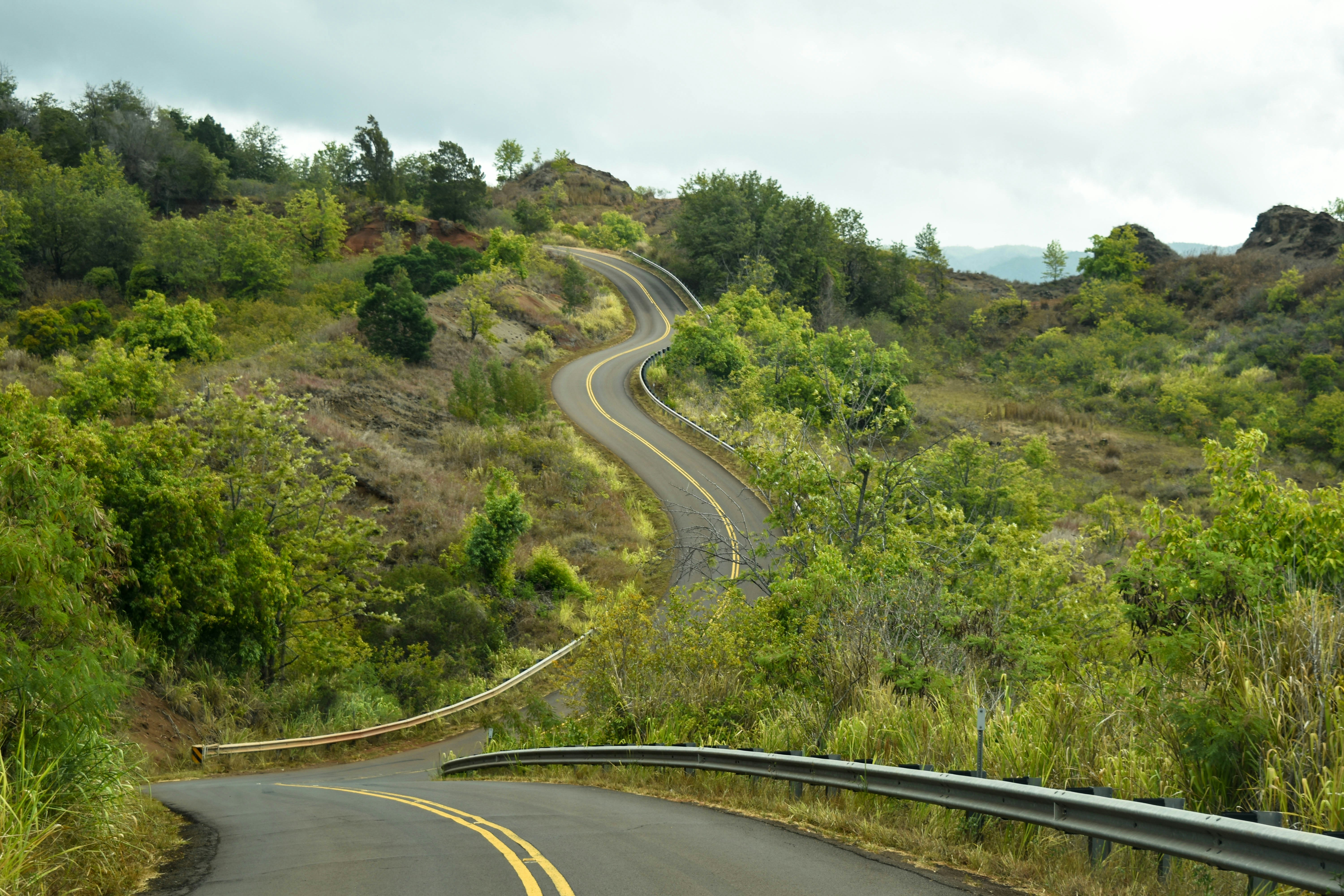 Free Unsplash photo from Dorota Socha