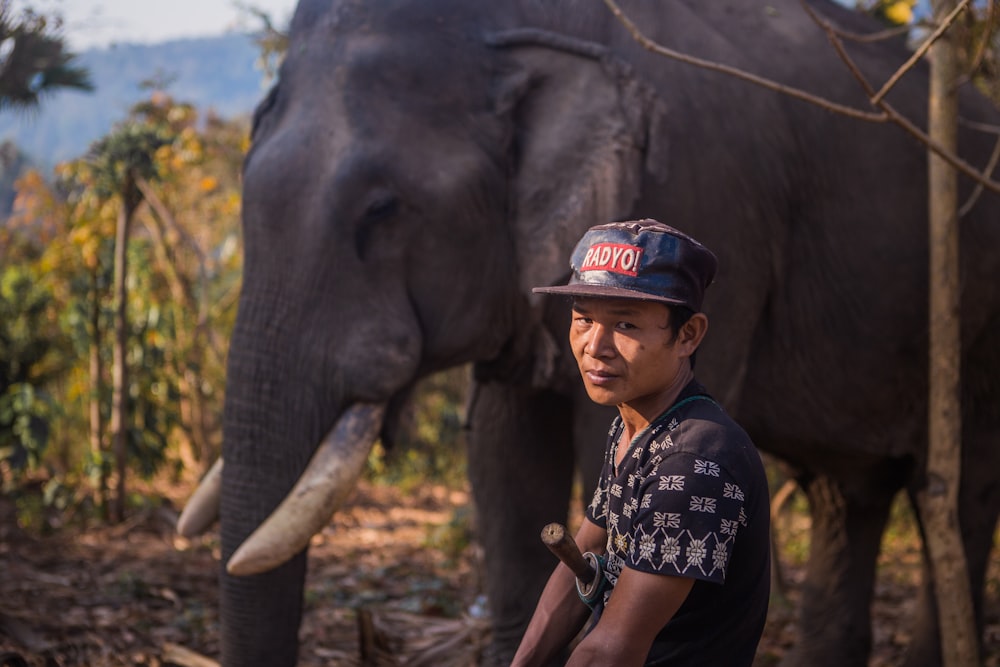 man sitting near black elephant