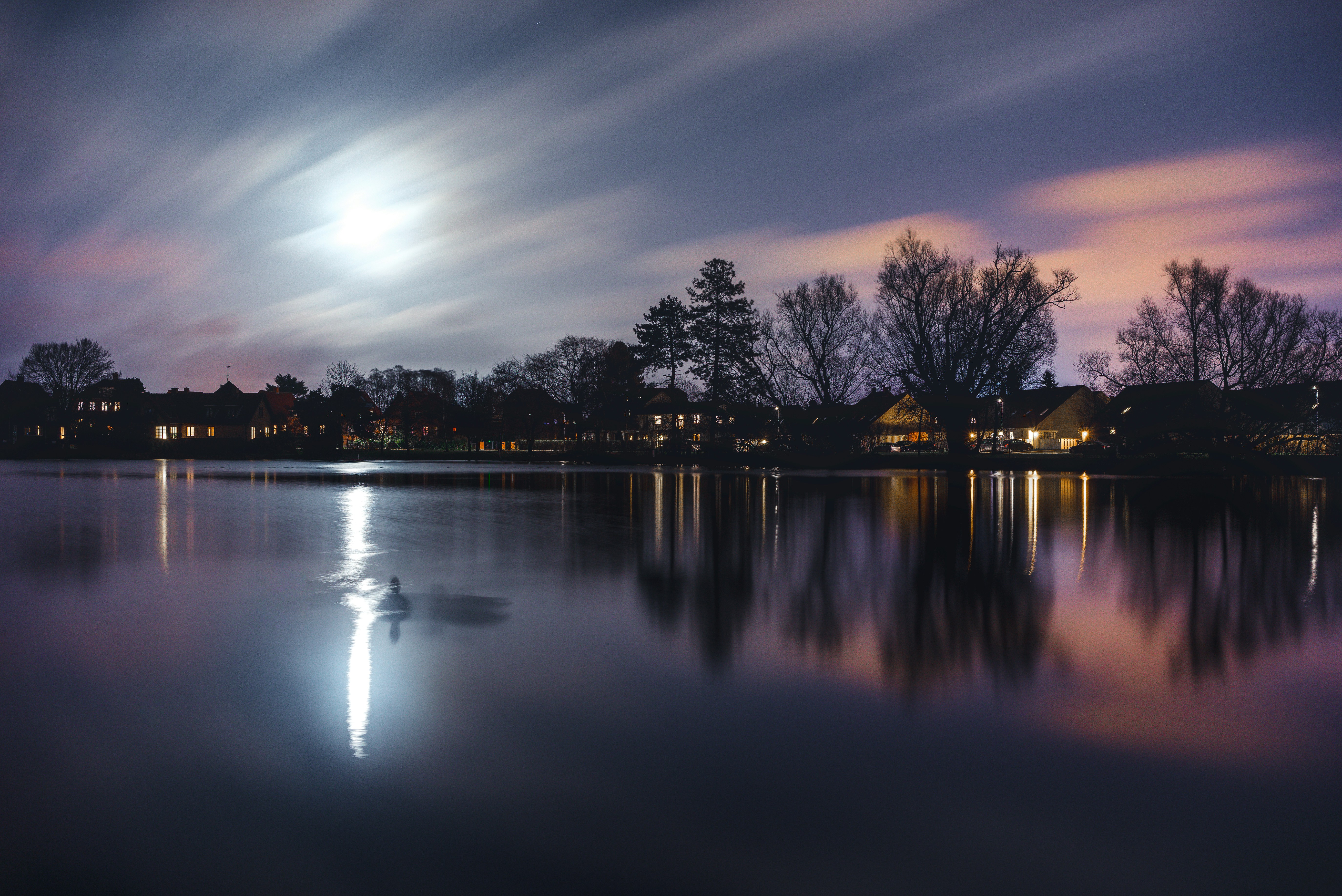 Free Unsplash photo from Sandro Katalina