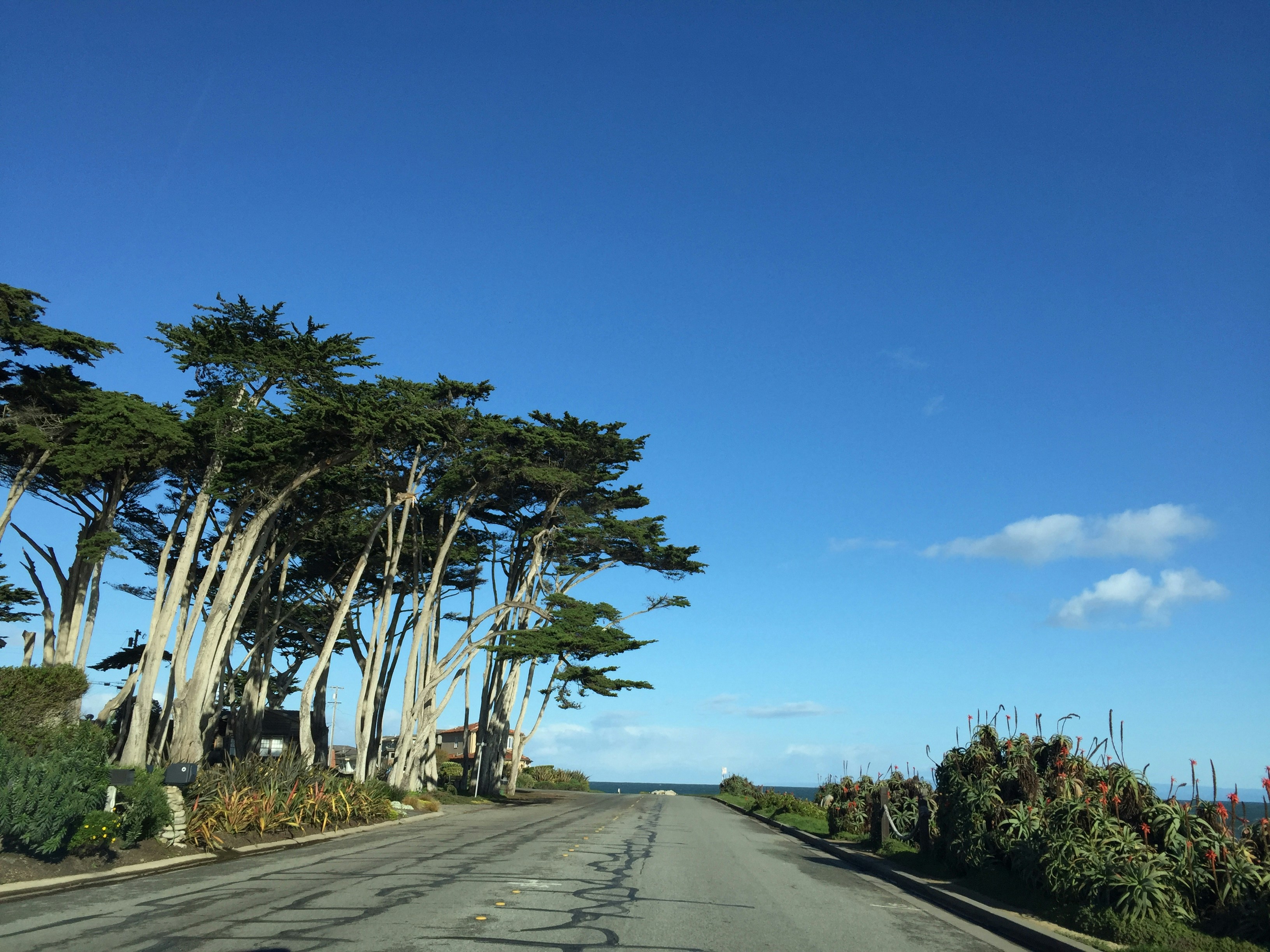 Free Unsplash photo from Lucy Jobe